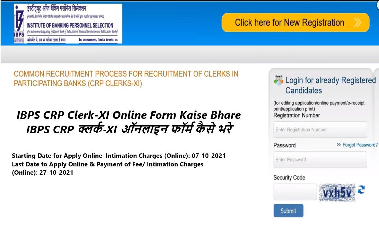 IBPS CRP Clerk-XI 2021 Online Form Kaise Bhare